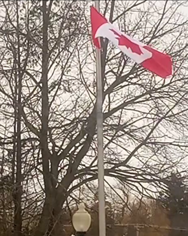 Cenotaphy Flag Distress